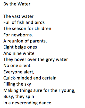 Screen Shot 2018-06-27 at 11.41.22 PM